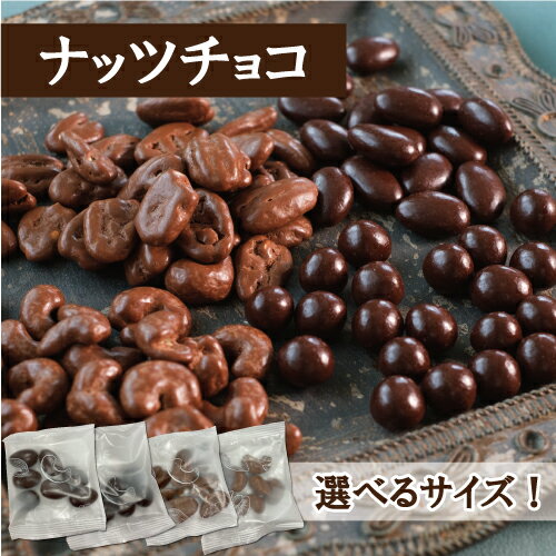 ナッツチョコ　ナッツ専門店のナッツ使用！ サイズ色々 ヘーゼルナッツ　ピーカンナッツ　アーモンド　カシューナッツ　チョコミックス　送料無料 小袋 100g 200g 720gの大容量も 個包装 素焼きナッツをダークチョコ　ミルクチョコでコーティング 高級　自分用　ご褒美