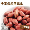 千葉県産 落花生 生 500g 千葉産 早生品種 ナカテユタカ らっかせい ぴーなっつ 乾燥 なま 南京豆 殻なし 薄皮付き むき実 無添加 無塩 無植物油 製...