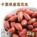 千葉県産 落花生 生 1kg (500g×2) 千葉産 早生品種 ナカテユタカ らっかせい ぴーなっつ 乾燥 なま 南京豆 殻なし 薄皮付き むき実 無添加 無...