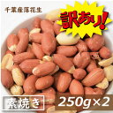 【訳あり】千葉産落花生(ナカテ)素焼き 500g (250gx2) 千葉産 無塩無植物油 南京豆 殻なし 薄皮付き むき実 おやつ おつまみ 家呑み 製菓材料 豆料理 ピーナッツ味噌 健康 お徳用 業務用 1kgの1/2 ミックスナッツ 素焼き