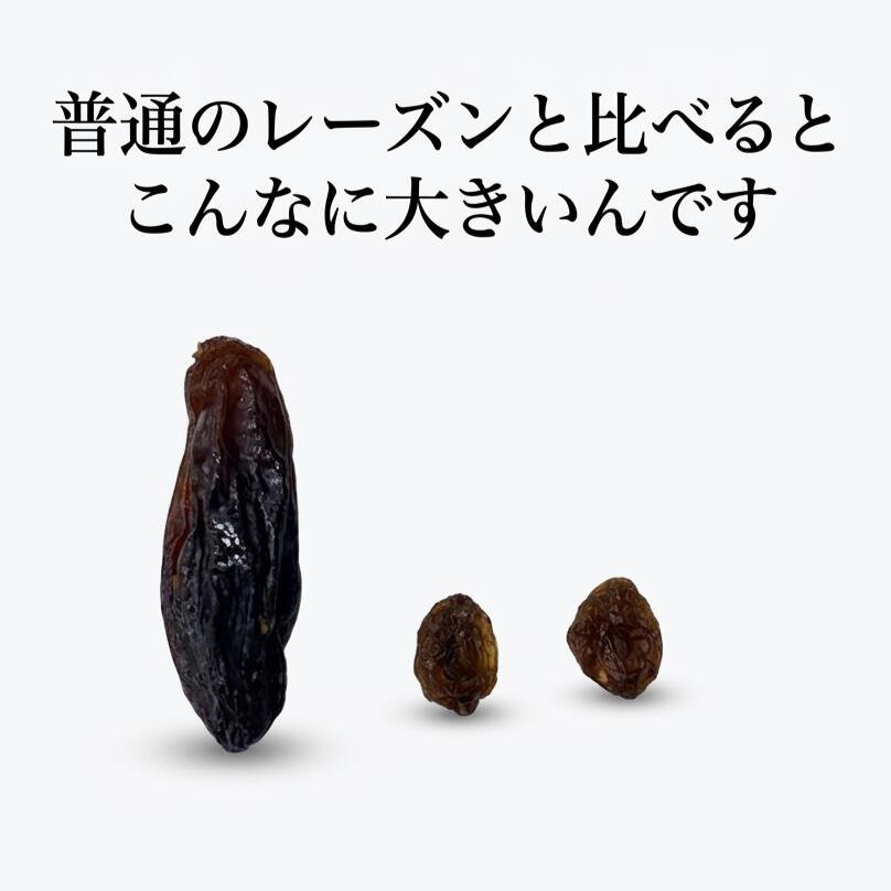 ジャンボレーズン800g ドライフルーツ 南アフリカ産　レーズン　干し葡萄 砂糖不使用 ポリフェノール 健康 美容 おやつ おつまみ 製菓材料 製パン材料 ケーキ材料 トッピング お徳用 大容量 業務用 チャック袋入り 2