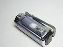 【中古】JVCKENWOOD JVC ビデオカメラ EVERIO GZ-E345 内蔵メモリー16GB フローラルバイオレット GZ-E345-V