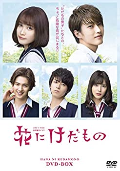 楽天市場】ゆれながら咲く花 dvd-box1の通販