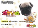 【中古】「未使用品」ポケいぬ Poket Dogs