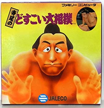 【中古】寺尾のどすこい大相撲