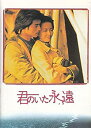 【中古】（映画プログラム） 君のいた永遠 金城武 ジジ リョン 1999年作品 状態：良好な状態で保存/大きな難ある時は 説明記載してあります。