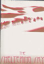 【中古】映画パンフレット　「シェルタリング・スカイ」　監督 /ベルナルド・ベルトルッチ 　出演 /デブラ・ウィンガー