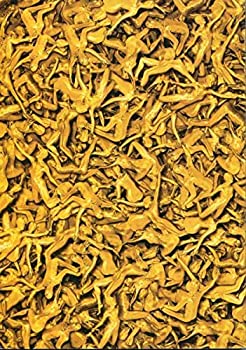 【中古】「非常に良い」野田地図/ザ・キャラクター パンフ宮沢りえ/古田新太/藤井隆/美波/池内博之 野田秀樹 演出NODA・MAP 第15回公演 パンフレット