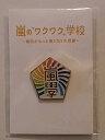 【中古】（非常に良い）嵐のワクワク学校2012 〜毎日がもっと輝く5つの授業〜 ピンバッジ