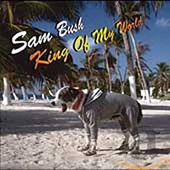【中古】「非常に良い」［CD］King of My World(2)