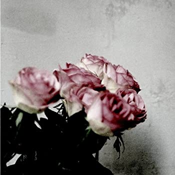 【中古】Love Logic【メーカー名】Import music service(IND/VC)(M)【メーカー型番】【ブランド名】【商品説明】 こちらの商品は中古品となっております。 画像はイメージ写真ですので 商品のコンディション・付属品の有無については入荷の度異なります。 買取時より付属していたものはお付けしておりますが付属品や消耗品に保証はございません。 商品ページ画像以外の付属品はございませんのでご了承下さいませ。 中古品のため使用に影響ない程度の使用感・経年劣化（傷、汚れなど）がある場合がございます。 また、中古品の特性上ギフトには適しておりません。 製品に関する詳細や設定方法は メーカーへ直接お問い合わせいただきますようお願い致します。 当店では初期不良に限り 商品到着から7日間は返品を受付けております。 他モールとの併売品の為 完売の際はご連絡致しますのでご了承ください。 プリンター・印刷機器のご注意点 インクは配送中のインク漏れ防止の為、付属しておりませんのでご了承下さい。 ドライバー等ソフトウェア・マニュアルはメーカーサイトより最新版のダウンロードをお願い致します。 ゲームソフトのご注意点 特典・付属品・パッケージ・プロダクトコード・ダウンロードコード等は 付属していない場合がございますので事前にお問合せ下さい。 商品名に「輸入版 / 海外版 / IMPORT 」と記載されている海外版ゲームソフトの一部は日本版のゲーム機では動作しません。 お持ちのゲーム機のバージョンをあらかじめご参照のうえ動作の有無をご確認ください。 輸入版ゲームについてはメーカーサポートの対象外です。 DVD・Blu-rayのご注意点 特典・付属品・パッケージ・プロダクトコード・ダウンロードコード等は 付属していない場合がございますので事前にお問合せ下さい。 商品名に「輸入版 / 海外版 / IMPORT 」と記載されている海外版DVD・Blu-rayにつきましては 映像方式の違いの為、一般的な国内向けプレイヤーにて再生できません。 ご覧になる際はディスクの「リージョンコード」と「映像方式※DVDのみ」に再生機器側が対応している必要があります。 パソコンでは映像方式は関係ないため、リージョンコードさえ合致していれば映像方式を気にすることなく視聴可能です。 商品名に「レンタル落ち 」と記載されている商品につきましてはディスクやジャケットに管理シール（値札・セキュリティータグ・バーコード等含みます）が貼付されています。 ディスクの再生に支障の無い程度の傷やジャケットに傷み（色褪せ・破れ・汚れ・濡れ痕等）が見られる場合がありますので予めご了承ください。 2巻セット以上のレンタル落ちDVD・Blu-rayにつきましては、複数枚収納可能なトールケースに同梱してお届け致します。 トレーディングカードのご注意点 当店での「良い」表記のトレーディングカードはプレイ用でございます。 中古買取り品の為、細かなキズ・白欠け・多少の使用感がございますのでご了承下さいませ。 再録などで型番が違う場合がございます。 違った場合でも事前連絡等は致しておりませんので、型番を気にされる方はご遠慮ください。 ご注文からお届けまで 1、ご注文⇒ご注文は24時間受け付けております。 2、注文確認⇒ご注文後、当店から注文確認メールを送信します。 3、お届けまで3-10営業日程度とお考え下さい。 　※海外在庫品の場合は3週間程度かかる場合がございます。 4、入金確認⇒前払い決済をご選択の場合、ご入金確認後、配送手配を致します。 5、出荷⇒配送準備が整い次第、出荷致します。発送後に出荷完了メールにてご連絡致します。 　※離島、北海道、九州、沖縄は遅れる場合がございます。予めご了承下さい。 当店ではすり替え防止のため、シリアルナンバーを控えております。 万が一、違法行為が発覚した場合は然るべき対応を行わせていただきます。 お客様都合によるご注文後のキャンセル・返品はお受けしておりませんのでご了承下さい。 電話対応は行っておりませんので、ご質問等はメッセージまたはメールにてお願い致します。