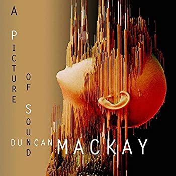 【中古】［CD］ア・ピクチャー・オヴ・サウンド