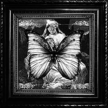 【中古】「非常に良い」渇望の翼【メーカー名】Daymare Recordings【メーカー型番】【ブランド名】【商品説明】初期不良に関しましては商品到着から1週間は返品を承っております。他モールとの併売品の為完売の際はご連絡致しますのでご了承ください。プリンター・印刷機器のご注意点インクは配送中の漏れ防止のため付属しておりませんのでご了承下さい。ドライバー等・マニュアルはメーカーサイトより最新版のダウンロードをお願い致します。DVD・Blu-ray・ゲームソフトのご注意点特典・付属品・パッケージ・プロダクトコード・ダウンロードコード等の使用有無や付属状況については保証いたしかねますので予めご了承ください。商品名に「輸入版 / 海外版 / IMPORT 」と記載されている海外版ゲームソフト・DVD・Blu-rayは日本版のプレイヤーでは動作いたしません。商品名に「レンタル落ち 」と記載されている商品につきましてはディスクやジャケットに管理シール（値札・セキュリティータグ・バーコード等）が貼付されていますので予めご了承ください。トレーディングカードのご注意点当店での「非常に良い」表記のトレーディングカードはプレイ用でございます。中古買取り品の為、細かなキズ・白欠け・多少の使用感がございますのでご了承下さいませ。ご注文からお届けまで1、ご注文⇒ご注文は24時間受け付けております。2、注文確認⇒ご注文後、当店から注文確認メールを送信します。3、お届けまで3-10営業日程度とお考え下さい。　※海外在庫品の場合は3週間程度かかる場合がございます。4、入金確認⇒前払い決済をご選択の場合、ご入金確認後、配送手配を致します。5、出荷⇒配送準備が整い次第、出荷致します。発送後に出荷完了メールにてご連絡致します。お客様都合によるご注文後のキャンセル・返品はお受けしておりませんのでご了承下さい。電話対応はしておりませんのでご質問等はメッセージまたはメールにてお願い致します。