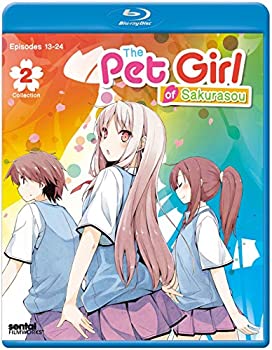 【中古】（非常に良い）Pet Girl of Sakurasou 2 [Blu-ray] [Import]
