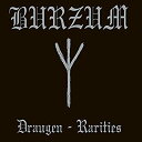 【中古】「非常に良い」Draugen: Rarities (W/Dvd)(2)