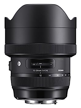 【中古】（非常に良い）SIGMA 12-24mm F