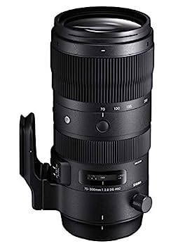 【中古】SIGMA 70-200mm F2.8 DG OS HSM | Sports S018 | Nikon Fマウント | Full-Size/Large-Format