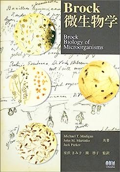 【中古】Brock微生物学