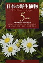 【中古】改訂新版 日本の野生植物 5:ヒルガオ科~スイカズラ科(+総索引)