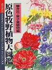 【中古】原色牧野植物大図鑑 離弁花・単子葉植物編