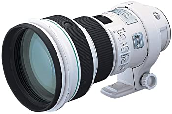 yÁziɗǂjCanon Pœ_]Y EF400mm F4 DO IS USM tTCYΉ