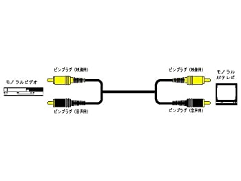 【中古】JVCケンウッド ビクター ピンプラグX2-ピンプラグX2 3M VX-34G