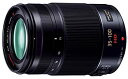 【中古】（非常に良い）パナソニック 望遠ズームレンズ マイクロフォーサーズ用 ルミックス G X VARIO 35-100mm/F2.8/POWER O.I.S H-HS35100