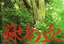 【中古】映画パンフレット★『蘇りの血』/豊田利晃監督、中村達...
