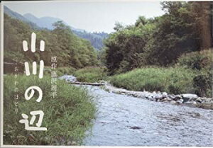 【中古】（非常に良い）[映画パンフレット]小川の辺(2011年)/東山紀之 菊地凛子 勝地涼 片岡愛之助 尾野真千子