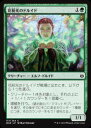 【中古】マジックザギャザリング MTG WAR JP 173 花粉光のドルイド (日本語版 コモン) 灯争大戦 War of the Spark