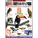 【中古】学研マルチメディア図鑑 鳥【メーカー名】学習研究社【メーカー型番】【ブランド名】学習研究社【商品説明】 こちらの商品は中古品となっております。 画像はイメージ写真ですので 商品のコンディション・付属品の有無については入荷の度異なります。 買取時より付属していたものはお付けしておりますが付属品や消耗品に保証はございません。 商品ページ画像以外の付属品はございませんのでご了承下さいませ。 中古品のため使用に影響ない程度の使用感・経年劣化（傷、汚れなど）がある場合がございます。 また、中古品の特性上ギフトには適しておりません。 製品に関する詳細や設定方法は メーカーへ直接お問い合わせいただきますようお願い致します。 当店では初期不良に限り 商品到着から7日間は返品を受付けております。 他モールとの併売品の為 完売の際はご連絡致しますのでご了承ください。 プリンター・印刷機器のご注意点 インクは配送中のインク漏れ防止の為、付属しておりませんのでご了承下さい。 ドライバー等ソフトウェア・マニュアルはメーカーサイトより最新版のダウンロードをお願い致します。 ゲームソフトのご注意点 特典・付属品・パッケージ・プロダクトコード・ダウンロードコード等は 付属していない場合がございますので事前にお問合せ下さい。 商品名に「輸入版 / 海外版 / IMPORT 」と記載されている海外版ゲームソフトの一部は日本版のゲーム機では動作しません。 お持ちのゲーム機のバージョンをあらかじめご参照のうえ動作の有無をご確認ください。 輸入版ゲームについてはメーカーサポートの対象外です。 DVD・Blu-rayのご注意点 特典・付属品・パッケージ・プロダクトコード・ダウンロードコード等は 付属していない場合がございますので事前にお問合せ下さい。 商品名に「輸入版 / 海外版 / IMPORT 」と記載されている海外版DVD・Blu-rayにつきましては 映像方式の違いの為、一般的な国内向けプレイヤーにて再生できません。 ご覧になる際はディスクの「リージョンコード」と「映像方式※DVDのみ」に再生機器側が対応している必要があります。 パソコンでは映像方式は関係ないため、リージョンコードさえ合致していれば映像方式を気にすることなく視聴可能です。 商品名に「レンタル落ち 」と記載されている商品につきましてはディスクやジャケットに管理シール（値札・セキュリティータグ・バーコード等含みます）が貼付されています。 ディスクの再生に支障の無い程度の傷やジャケットに傷み（色褪せ・破れ・汚れ・濡れ痕等）が見られる場合がありますので予めご了承ください。 2巻セット以上のレンタル落ちDVD・Blu-rayにつきましては、複数枚収納可能なトールケースに同梱してお届け致します。 トレーディングカードのご注意点 当店での「良い」表記のトレーディングカードはプレイ用でございます。 中古買取り品の為、細かなキズ・白欠け・多少の使用感がございますのでご了承下さいませ。 再録などで型番が違う場合がございます。 違った場合でも事前連絡等は致しておりませんので、型番を気にされる方はご遠慮ください。 ご注文からお届けまで 1、ご注文⇒ご注文は24時間受け付けております。 2、注文確認⇒ご注文後、当店から注文確認メールを送信します。 3、お届けまで3-10営業日程度とお考え下さい。 　※海外在庫品の場合は3週間程度かかる場合がございます。 4、入金確認⇒前払い決済をご選択の場合、ご入金確認後、配送手配を致します。 5、出荷⇒配送準備が整い次第、出荷致します。発送後に出荷完了メールにてご連絡致します。 　※離島、北海道、九州、沖縄は遅れる場合がございます。予めご了承下さい。 当店ではすり替え防止のため、シリアルナンバーを控えております。 万が一、違法行為が発覚した場合は然るべき対応を行わせていただきます。 お客様都合によるご注文後のキャンセル・返品はお受けしておりませんのでご了承下さい。 電話対応は行っておりませんので、ご質問等はメッセージまたはメールにてお願い致します。