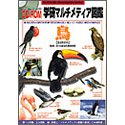 【中古】「非常に良い」学研マルチメディア図鑑 鳥