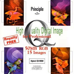 【中古】（非常に良い）High Quality Digital Image Principle 2