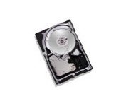 【中古】Maxtor Diamond Max10 3.5インチ内蔵型HDD 300GB/S-ATA 6V300F0