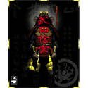 【中古】「非常に良い」武田信玄(2)