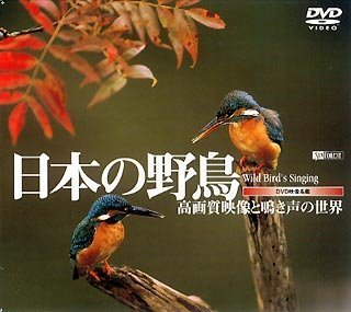 シンフォレストDVD 日本の野鳥 高画質映像と鳴き声の世界 Wild bird's Singing