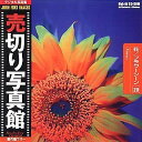 【中古】売切り写真館 JFIシリーズ 20 花/フラワーシーン
