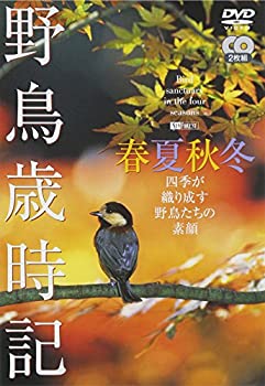 【中古】（非常に良い）シンフォレストDVD 野鳥歳時記・春夏秋冬(2枚組) 四季が織り成す野鳥たちの素顔