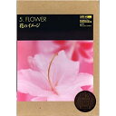 【中古】SUPER GU 5 FLOWERS
