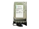 【中古】IBM 73GB 10000RPM 3.5インチ 内蔵型 U320 SCSI HDD 90P1305 マウンタ付