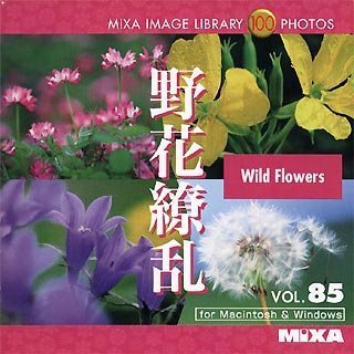 【中古】MIXA Image Library Vol.85「野花繚乱」