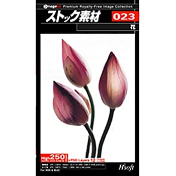 【中古】ストック素材 023 花