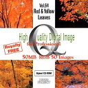 yÁzHigh Quality Digital Image for Professional Vol.64 Red & Yellow Leaves