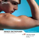 【中古】イメージ ディクショナリー Vol.58 男性の体