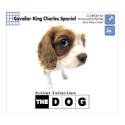 【中古】(非常に良い）THE DOG ~ CavalierKingCharlesSpaniel【メーカー名】ソニー・ミュージックディストリビューション【メーカー型番】【ブランド名】ソニー・ミュージックディストリビューション【商品説明】 こちらの商品は中古品となっております。 画像はイメージ写真ですので 商品のコンディション・付属品の有無については入荷の度異なります。 買取時より付属していたものはお付けしておりますが付属品や消耗品に保証はございません。 商品ページ画像以外の付属品はございませんのでご了承下さいませ。 中古品のため使用に影響ない程度の使用感・経年劣化（傷、汚れなど）がある場合がございます。 また、中古品の特性上ギフトには適しておりません。 製品に関する詳細や設定方法は メーカーへ直接お問い合わせいただきますようお願い致します。 当店では初期不良に限り 商品到着から7日間は返品を受付けております。 他モールとの併売品の為 完売の際はご連絡致しますのでご了承ください。 プリンター・印刷機器のご注意点 インクは配送中のインク漏れ防止の為、付属しておりませんのでご了承下さい。 ドライバー等ソフトウェア・マニュアルはメーカーサイトより最新版のダウンロードをお願い致します。 ゲームソフトのご注意点 特典・付属品・パッケージ・プロダクトコード・ダウンロードコード等は 付属していない場合がございますので事前にお問合せ下さい。 商品名に「輸入版 / 海外版 / IMPORT 」と記載されている海外版ゲームソフトの一部は日本版のゲーム機では動作しません。 お持ちのゲーム機のバージョンをあらかじめご参照のうえ動作の有無をご確認ください。 輸入版ゲームについてはメーカーサポートの対象外です。 DVD・Blu-rayのご注意点 特典・付属品・パッケージ・プロダクトコード・ダウンロードコード等は 付属していない場合がございますので事前にお問合せ下さい。 商品名に「輸入版 / 海外版 / IMPORT 」と記載されている海外版DVD・Blu-rayにつきましては 映像方式の違いの為、一般的な国内向けプレイヤーにて再生できません。 ご覧になる際はディスクの「リージョンコード」と「映像方式※DVDのみ」に再生機器側が対応している必要があります。 パソコンでは映像方式は関係ないため、リージョンコードさえ合致していれば映像方式を気にすることなく視聴可能です。 商品名に「レンタル落ち 」と記載されている商品につきましてはディスクやジャケットに管理シール（値札・セキュリティータグ・バーコード等含みます）が貼付されています。 ディスクの再生に支障の無い程度の傷やジャケットに傷み（色褪せ・破れ・汚れ・濡れ痕等）が見られる場合がありますので予めご了承ください。 2巻セット以上のレンタル落ちDVD・Blu-rayにつきましては、複数枚収納可能なトールケースに同梱してお届け致します。 トレーディングカードのご注意点 当店での「良い」表記のトレーディングカードはプレイ用でございます。 中古買取り品の為、細かなキズ・白欠け・多少の使用感がございますのでご了承下さいませ。 再録などで型番が違う場合がございます。 違った場合でも事前連絡等は致しておりませんので、型番を気にされる方はご遠慮ください。 ご注文からお届けまで 1、ご注文⇒ご注文は24時間受け付けております。 2、注文確認⇒ご注文後、当店から注文確認メールを送信します。 3、お届けまで3-10営業日程度とお考え下さい。 　※海外在庫品の場合は3週間程度かかる場合がございます。 4、入金確認⇒前払い決済をご選択の場合、ご入金確認後、配送手配を致します。 5、出荷⇒配送準備が整い次第、出荷致します。発送後に出荷完了メールにてご連絡致します。 　※離島、北海道、九州、沖縄は遅れる場合がございます。予めご了承下さい。 当店ではすり替え防止のため、シリアルナンバーを控えております。 万が一、違法行為が発覚した場合は然るべき対応を行わせていただきます。 お客様都合によるご注文後のキャンセル・返品はお受けしておりませんのでご了承下さい。 電話対応は行っておりませんので、ご質問等はメッセージまたはメールにてお願い致します。