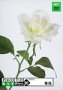 【中古】Photobit 20 薔薇