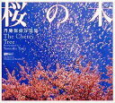 【中古】「非常に良い」丹地保堯写真集 桜の木 The Cherry Tree