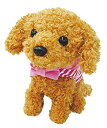 【中古】「非常に良い」よびかけアクション 愛犬モカちゃん