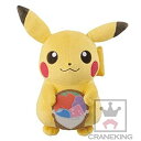 【中古】「非常に良い」ポケットモンスター ピカチュウ ピクニック Pokelife@picnic でっかいぬいぐるみ