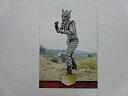 【中古】(非常に良い)アマダ/仮面ライダー1号・2号編トレカ■ノーマルカード■029/アルマジロング(3)